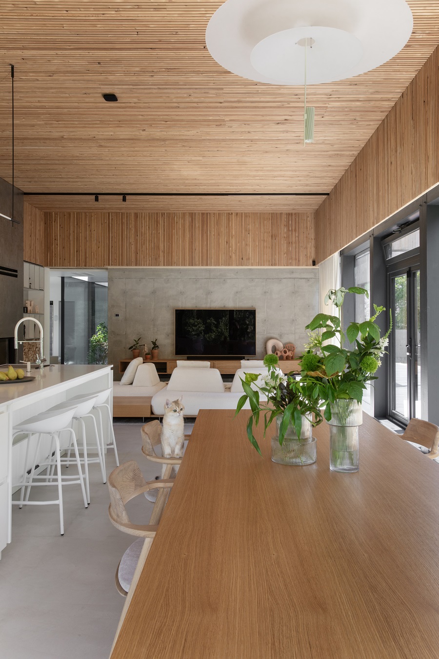 Дизайн гостиной, кухни и столовой.